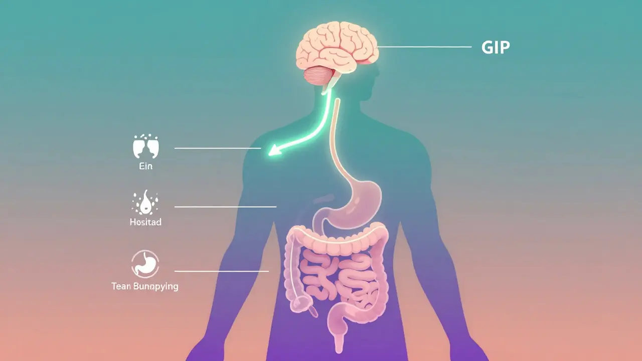 Tirzepatide for Weight Loss: How Dual Incretin Therapy Works and What to Expect